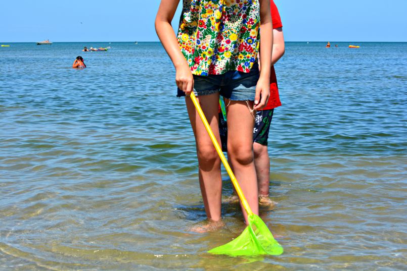 kids playing with fishing net in the adriatic | zadina | italy