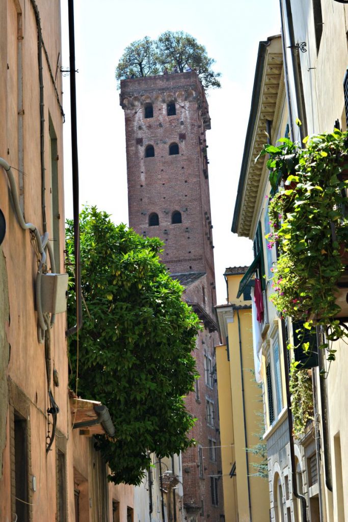 The Guinigi Tower