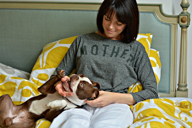 Buying a Boston Terrier Puppy | MOTHER T-shirt