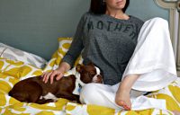 Buying a Boston Terrier Puppy | MOTHER T-shirt