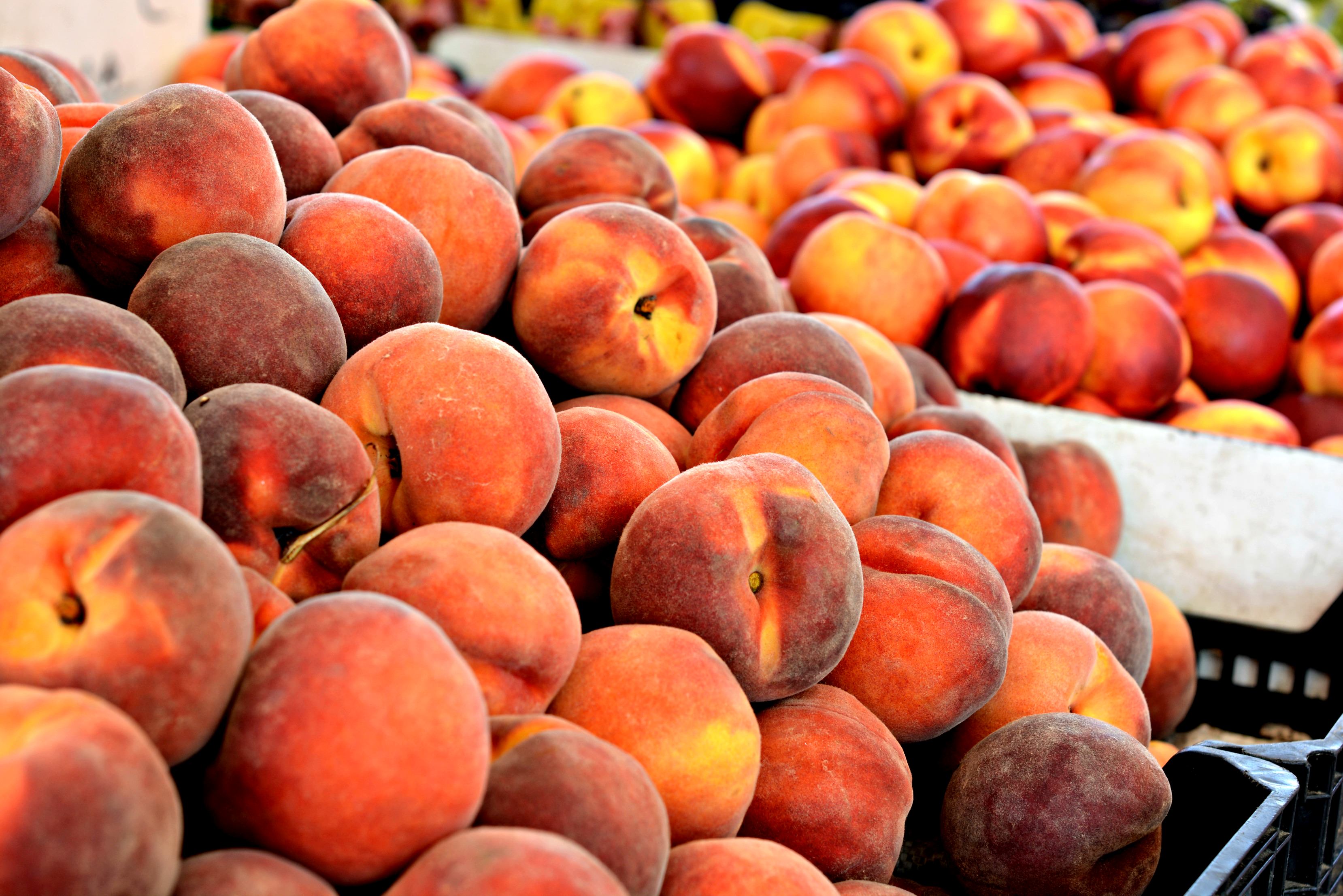 Cervia - Bikes & Boats on The Adriatic - Peaches at the market