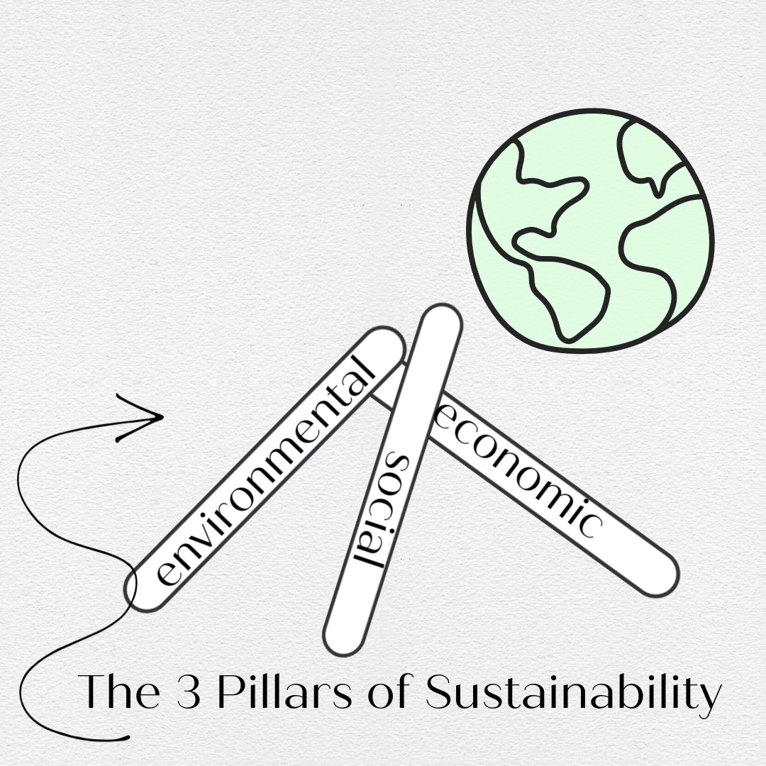 what-is-intersectional-environmentalism-3-pillars-of-sustainability
